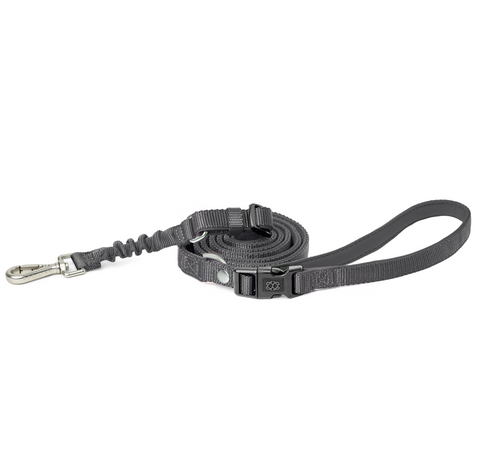 Steel City Bungee Dog Leash