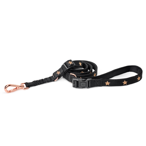 Rockstar City Bungee Dog Leash