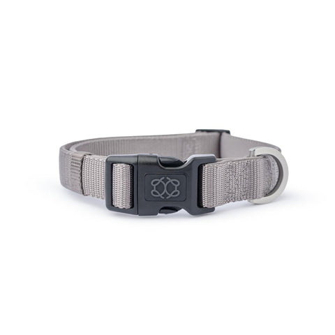 Steel City Padded Dog Collar