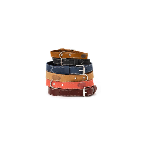 Pro Line Leather Dog Collar