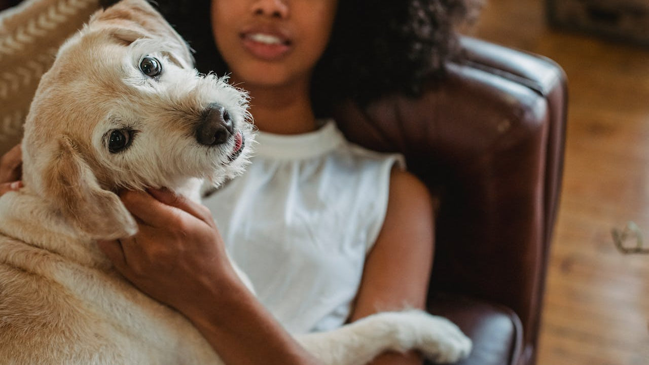 Strengthen Your Bond With Your Dog