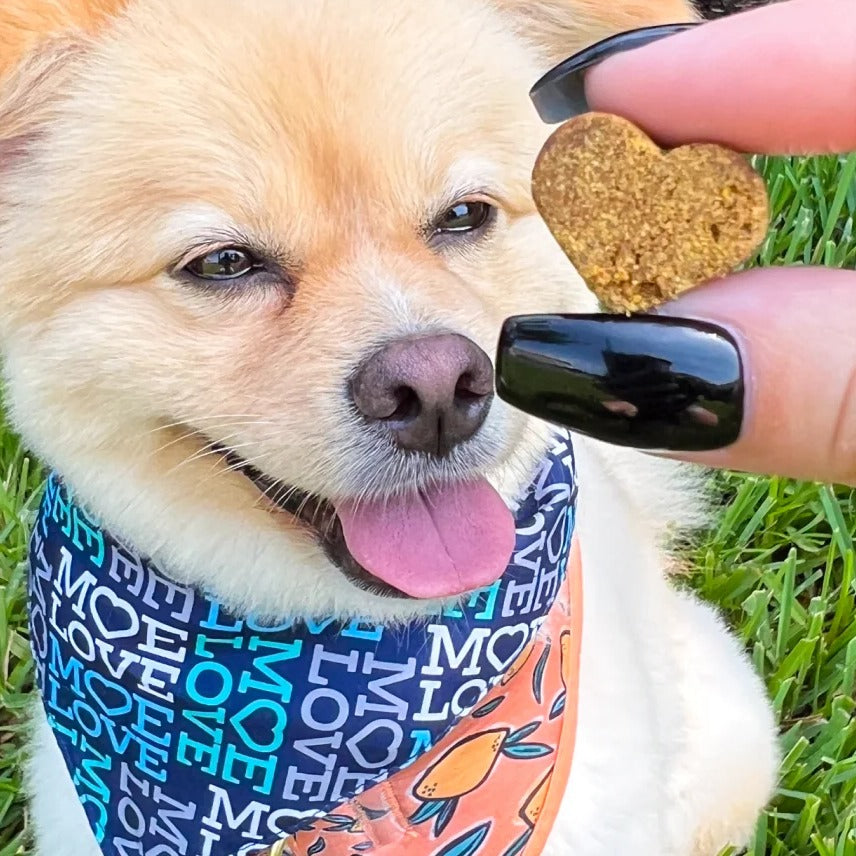 Moe's Healthy Pets