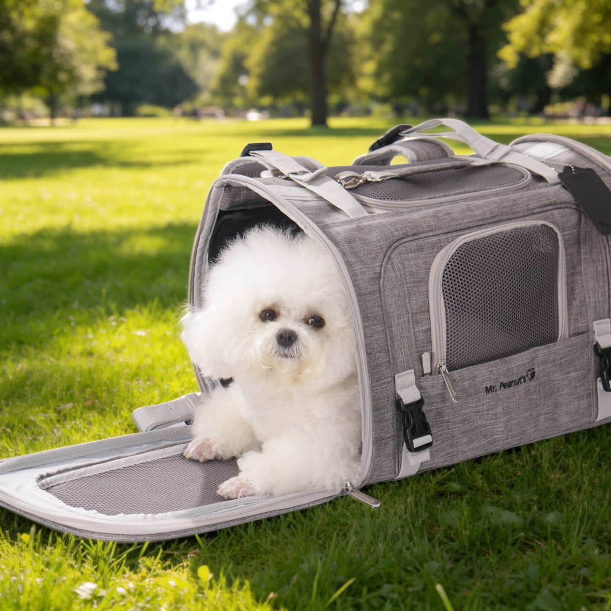 Travel