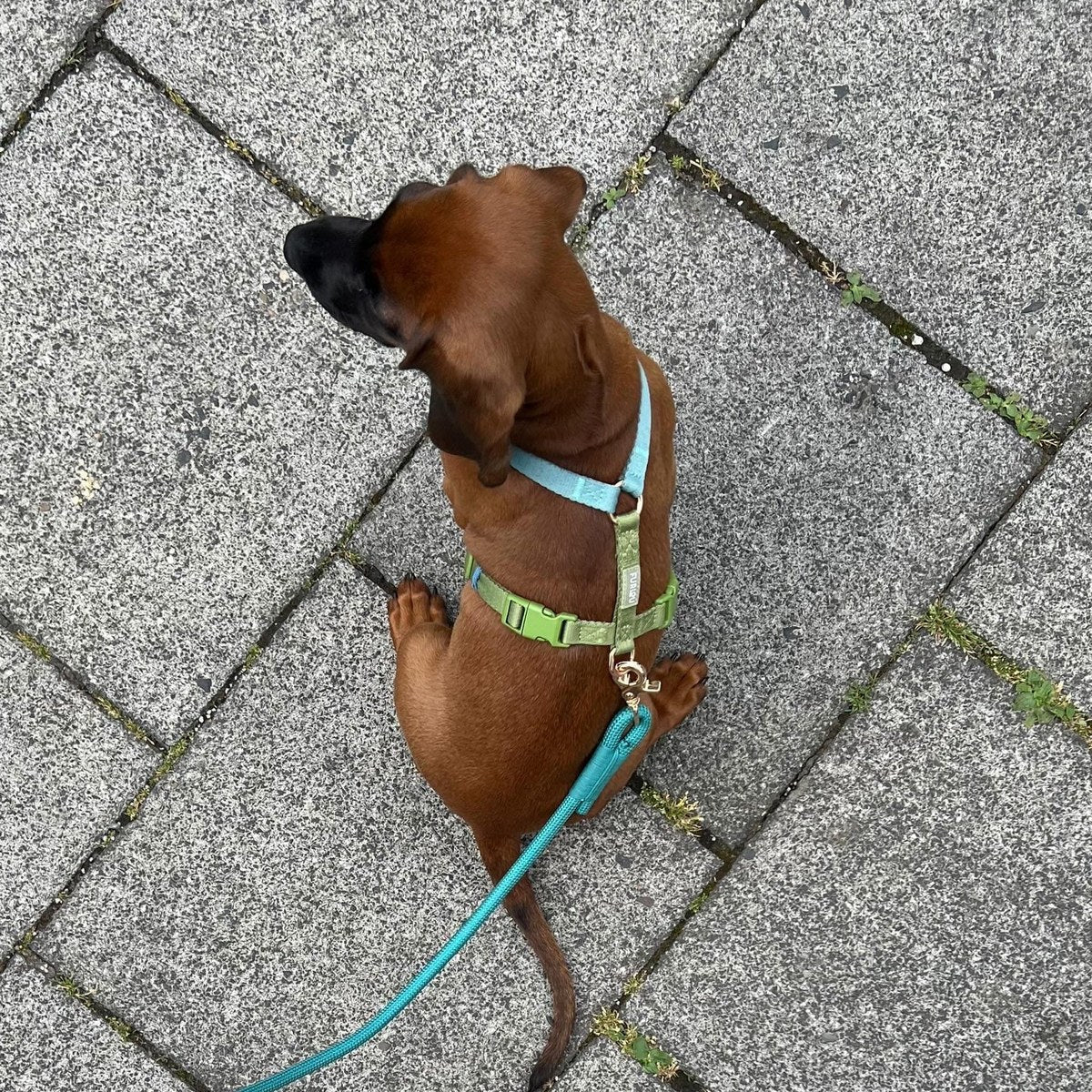 Walk