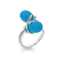 Anillo Eden, foto 1