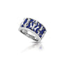Meridian Ring, photo 1