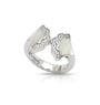 Anillo Astoria, foto 2
