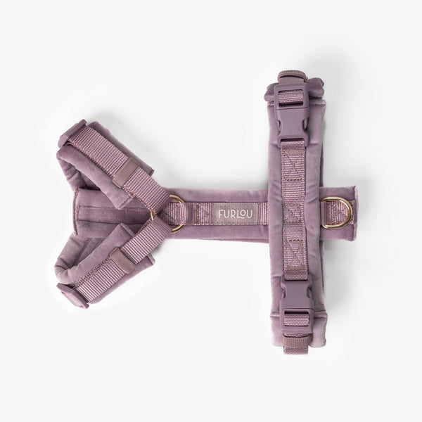 Lilac velvet dog harness laid flat