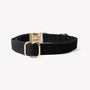 Collar de lona para perro, negro, broche y argolla en D