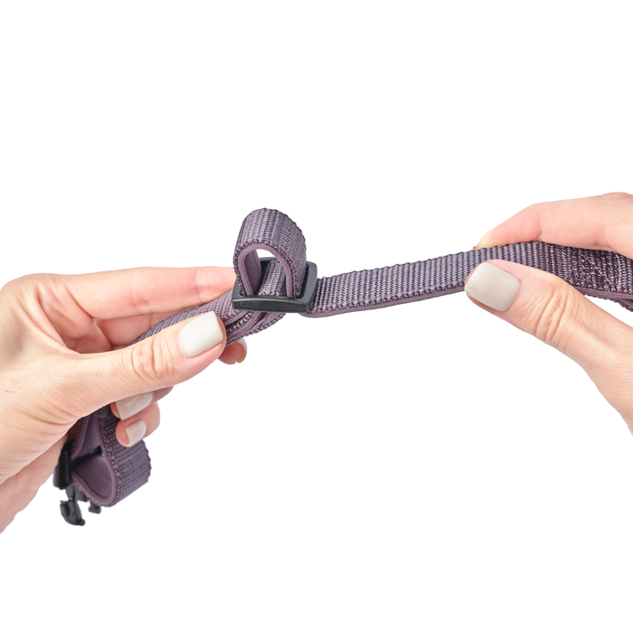 Lilac Gray City Padded Dog Collar, photo 4