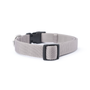 Steel City Padded Dog Collar, photo 3