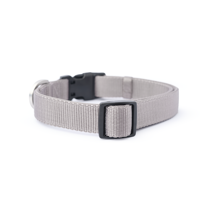 Steel City Padded Dog Collar, photo 3