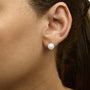 7-7.5mm Cultured Freshwater Pearl Solitaire Stud Earrings in Sterling Silver, photo 4