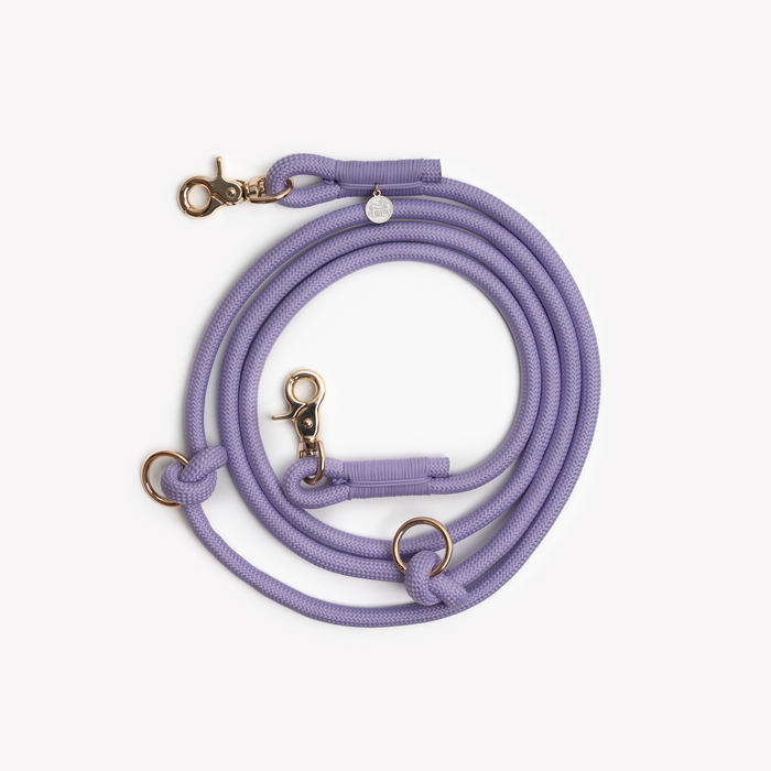 Lavender hands-free braided leash, coiled