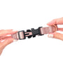 Blush City Padded Dog Collar, photo 3