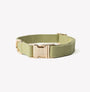 Collar de lona para perro, verde