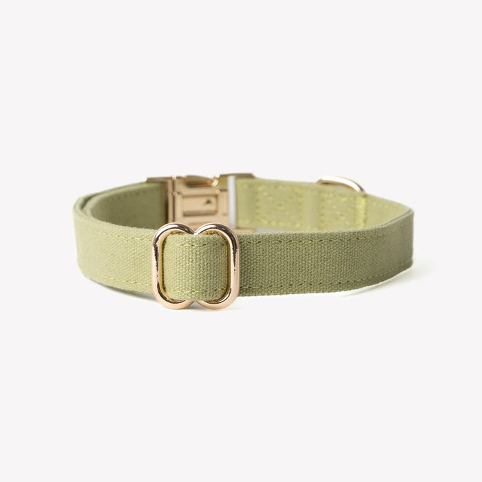 Collar de lona para perro, verde, broche y argolla en D