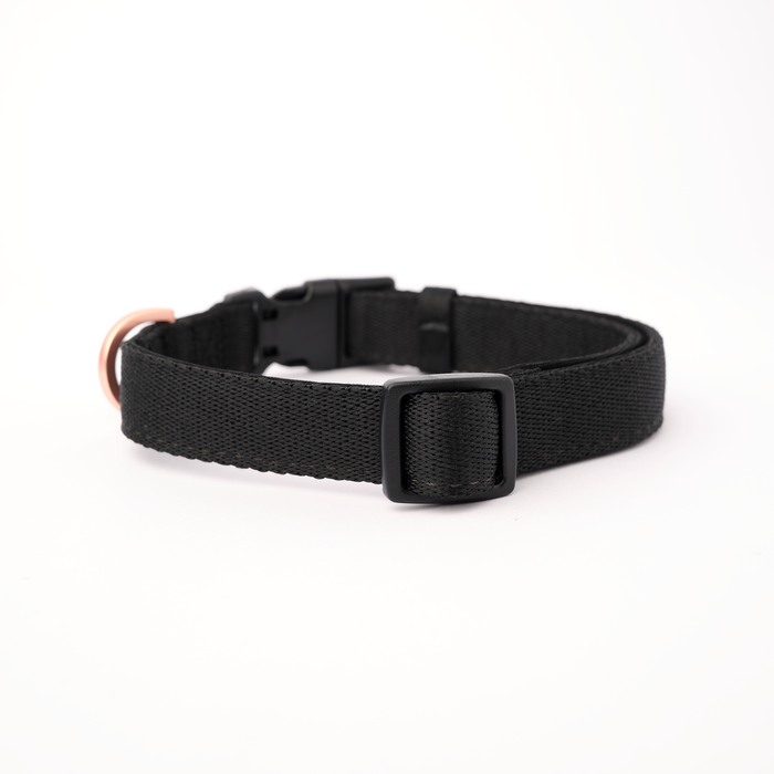Black City Padded Dog Collar, photo 2