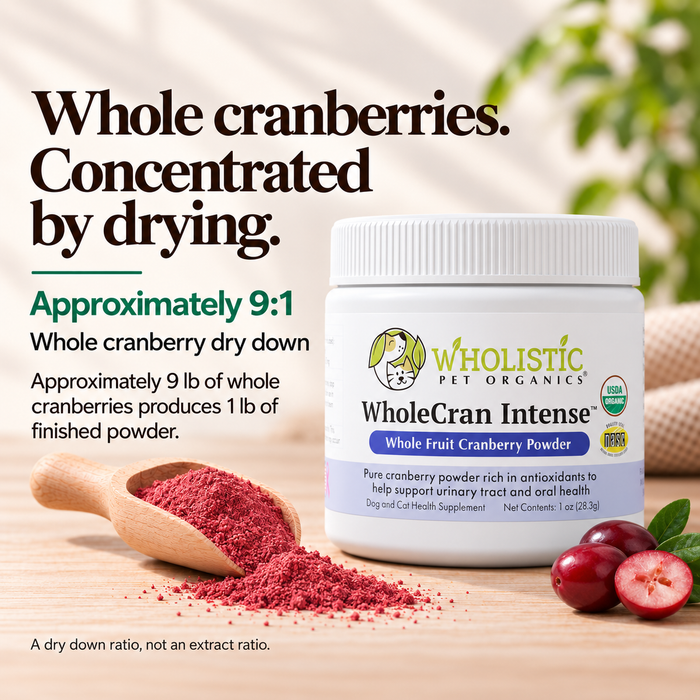 WholeCran Intense Organic Cranberry Powder for Dogs and Cats, photo 3