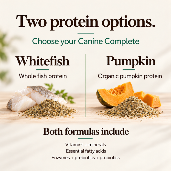 Canine Complete, multivitamínico de alimentos integrales en polvo para perro, foto 4