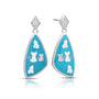 Aretes Cats, foto 1