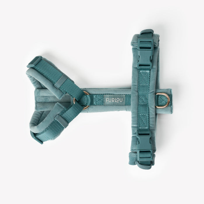 Blue velvet dog harness laid flat