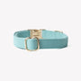 Collar de lona para perro, azul, broche y argolla en D