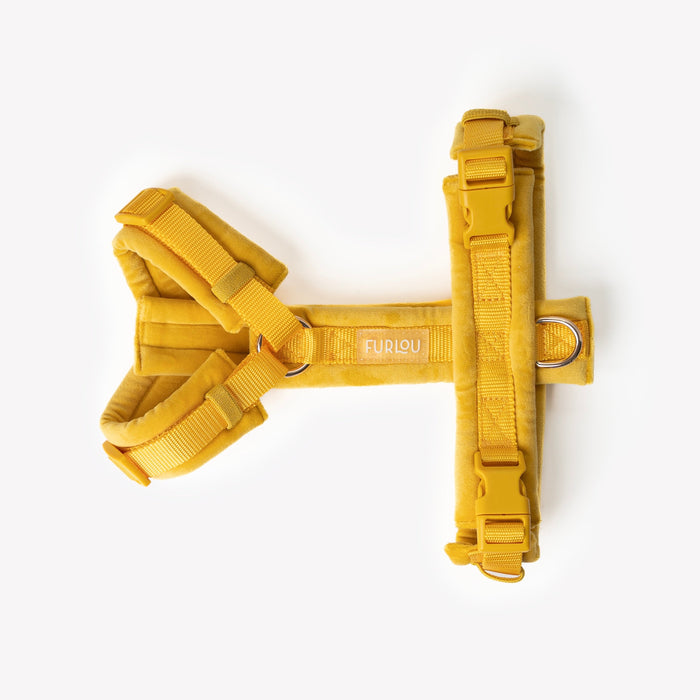 Arnés de terciopelo para perro, amarillo, extendido