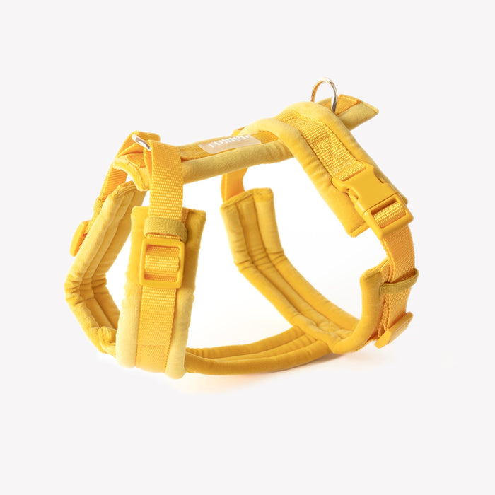 Arnés de terciopelo para perro, amarillo