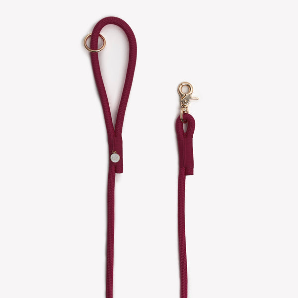 Handle loop and clip of the Bordeaux braided rope leash