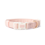 Madison City Padded Dog Collar