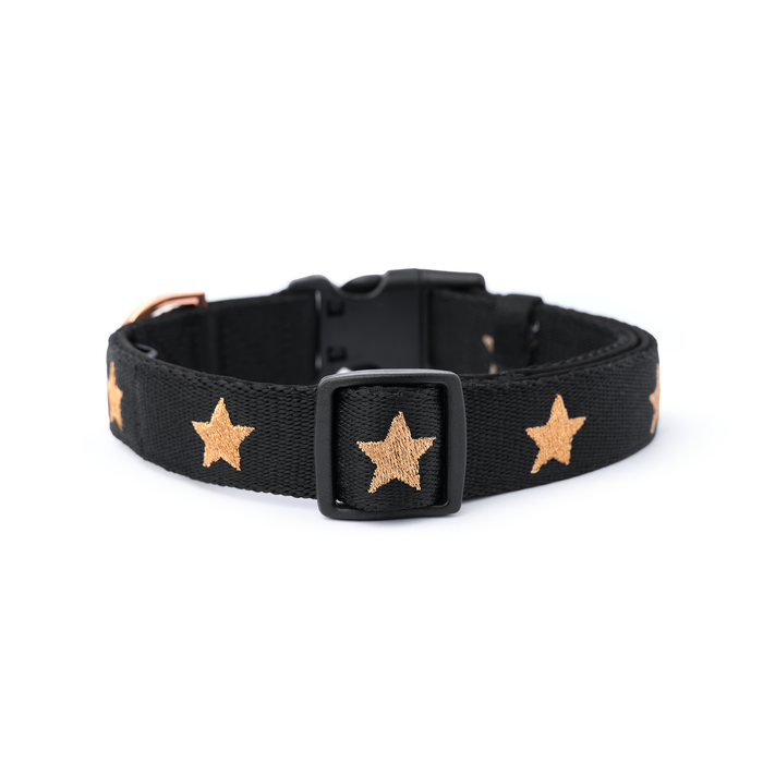 Rockstar City Padded Dog Collar, photo 3