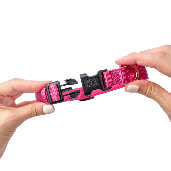 Park Ave Pink City Padded Dog Collar, photo 4
