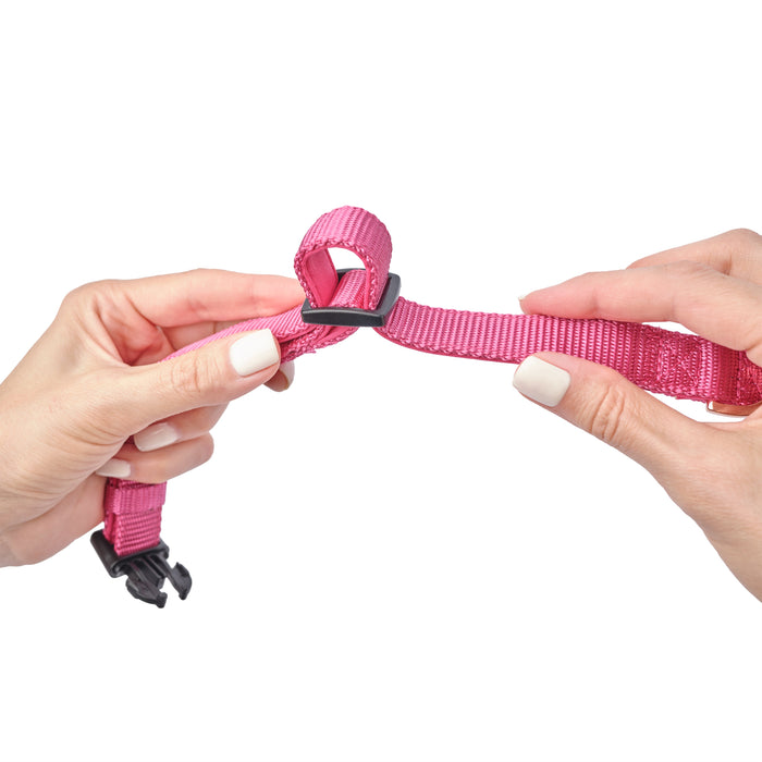 Park Ave Pink City Padded Dog Collar, photo 5