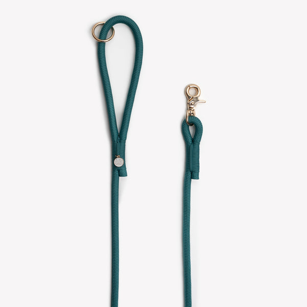 Handle loop and clip of the Blue braided rope leash