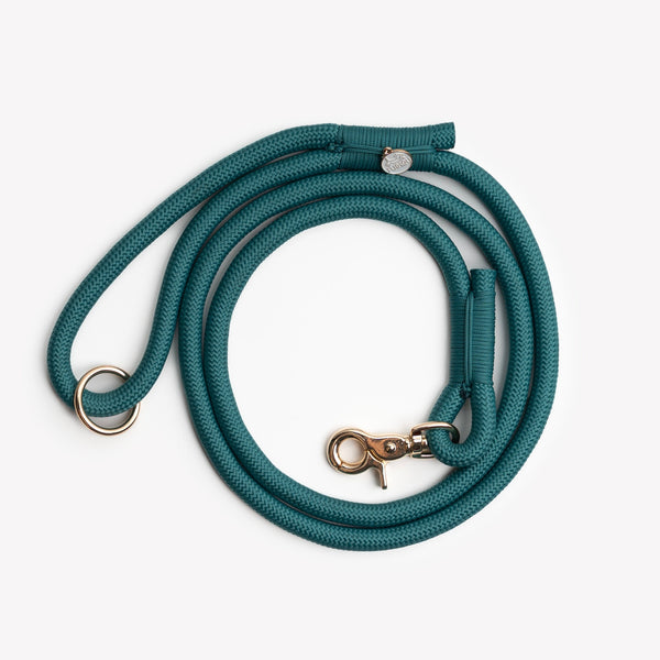 Blue braided rope leash, coiled
