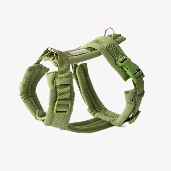 Arnés de terciopelo para perro, verde
