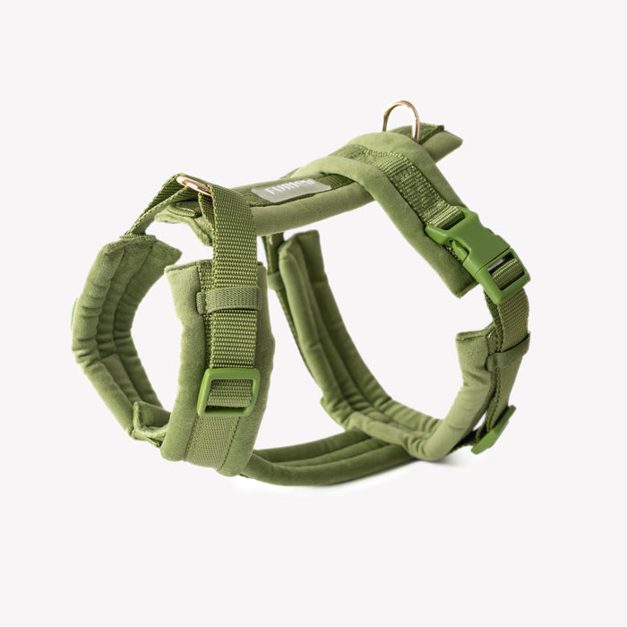 Green velvet dog harness