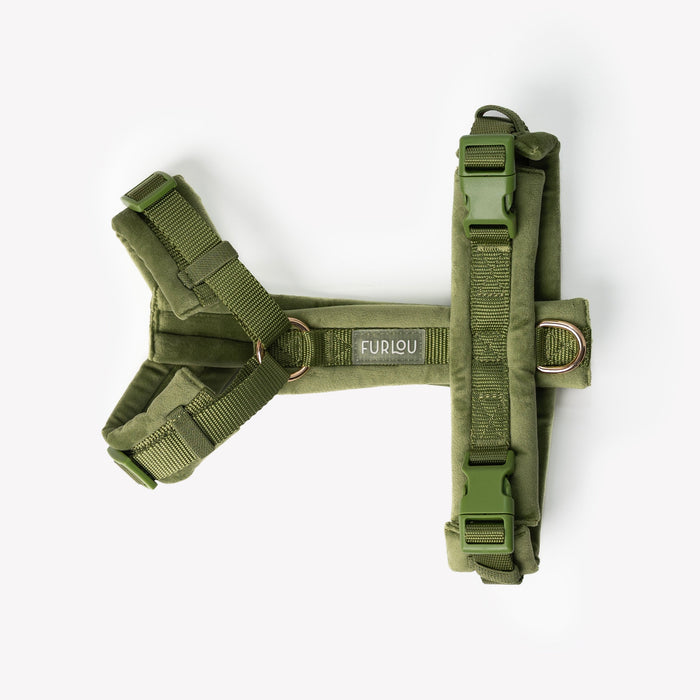 Green velvet dog harness laid flat