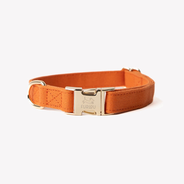 Collar de lona para perro, terracota