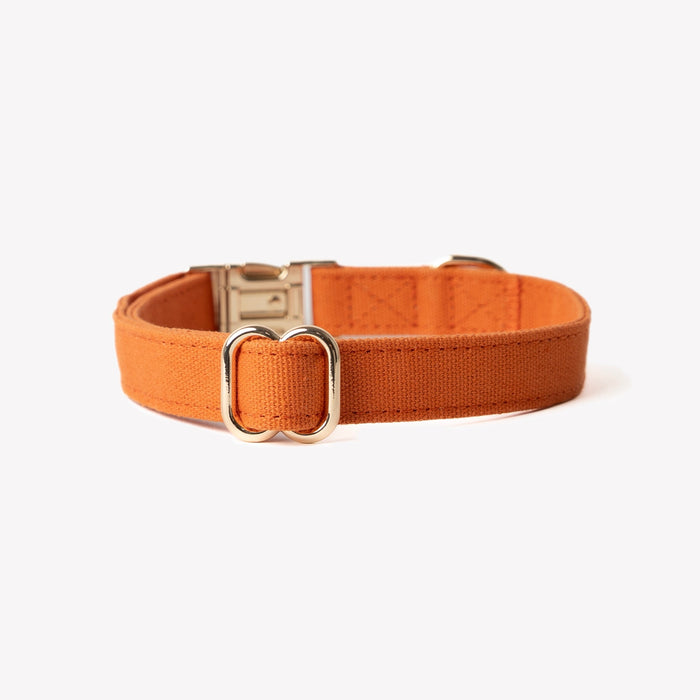 Terracotta canvas dog collar, clip and D-ring