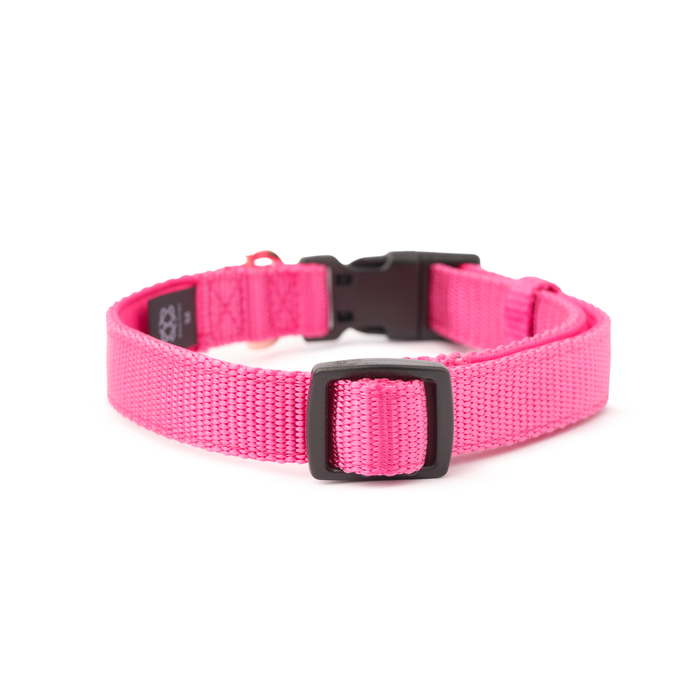 Park Ave Pink City Padded Dog Collar, photo 3