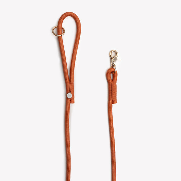 Handle loop and clip of the Terracotta braided rope leash