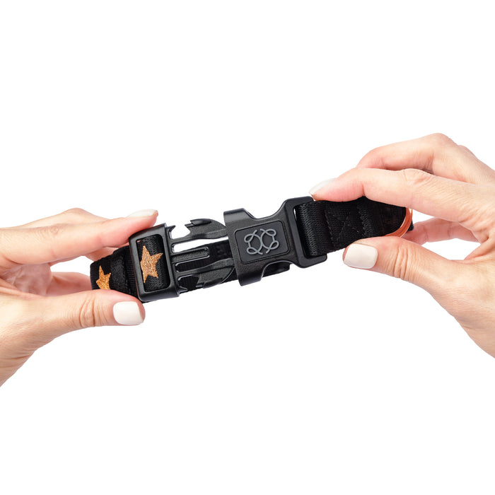 Rockstar City Padded Dog Collar, photo 5