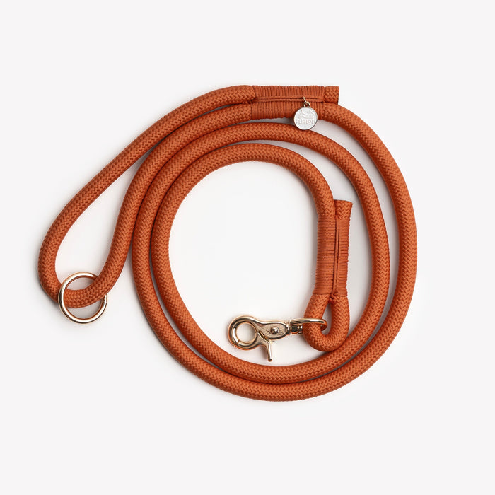 Terracotta braided rope leash, coiled