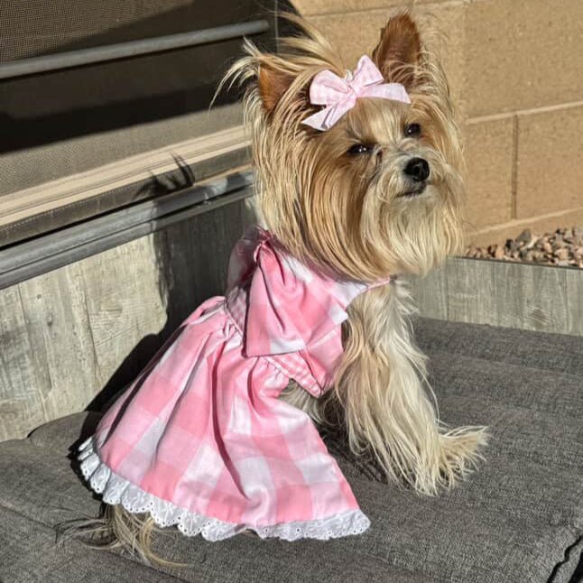 Gingham Picnic Dress, photo 5