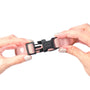 Sweetheart City Padded Dog Collar, photo 4