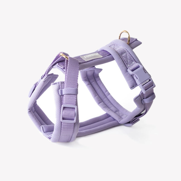 Lavender comfort dog harness