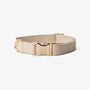 Tan canvas dog collar