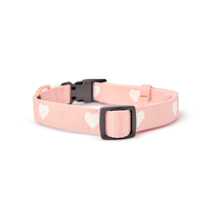 Sweetheart City Padded Dog Collar, photo 3